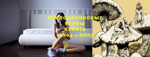 таблы Гусев