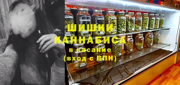 таблы Гусев