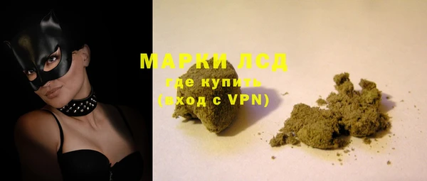 таблы Гусев