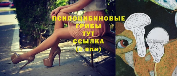 прущий лед Гусиноозёрск