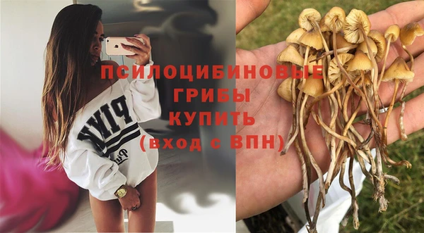 таблы Гусев