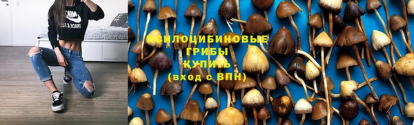 таблы Гусев