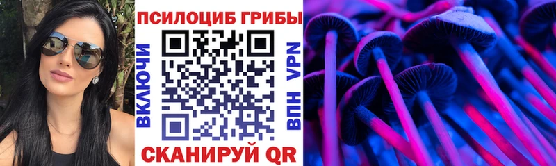 Галлюциногенные грибы Psilocybe  Купить закладки  Новохопёрск 