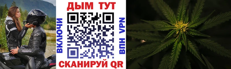 Шишки марихуана VHQ  Купить  Новохопёрск 